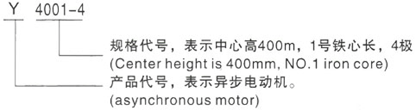 Y系列(H400-500)380V低壓大功率三相異步電機(jī)——西安泰富西瑪電機(jī)（產(chǎn)品簡(jiǎn)介|技術(shù)參數(shù)|安裝圖紙|樣本下載）